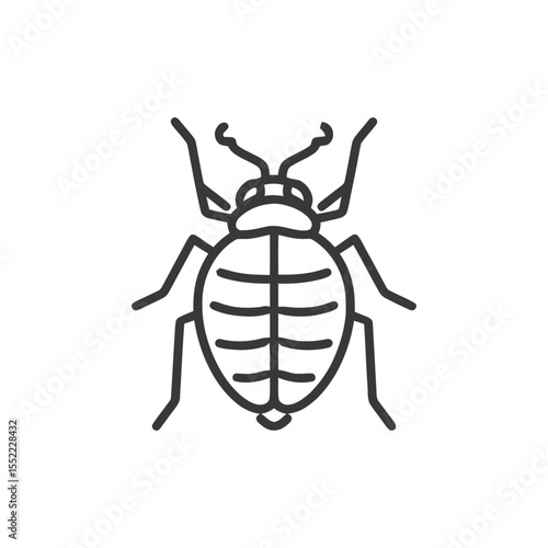 Minimalist Line Art: Detailed Bed Bug Illustration on White Background