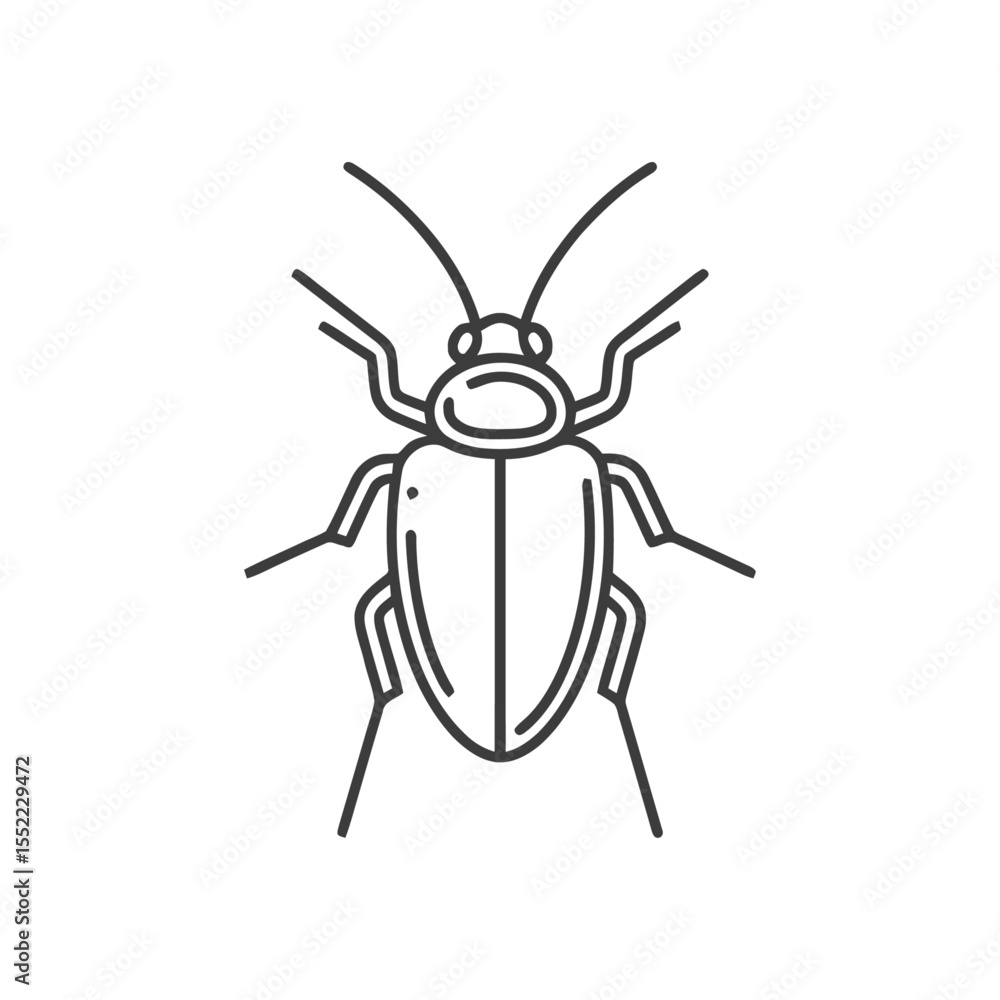Minimalist Cockroach Line Art: Detailed Insect Illustration on White Background Minimalist Cockroach Line Art: Detailed Insect Illustration on White Background