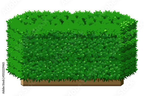 A neatly trimmed green hedge with a wooden base and a white background