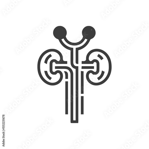 Stylized Human Urinary System Icon: Kidneys, Ureters, Bladder, Adrenal Glands