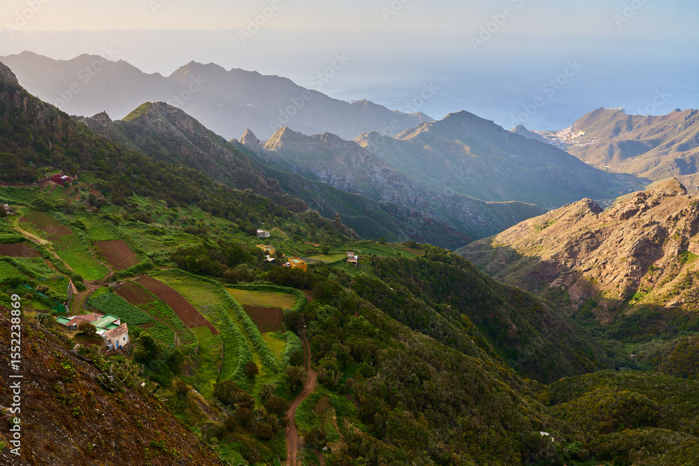 Naklejka premium Terraced fields and ridges above coast