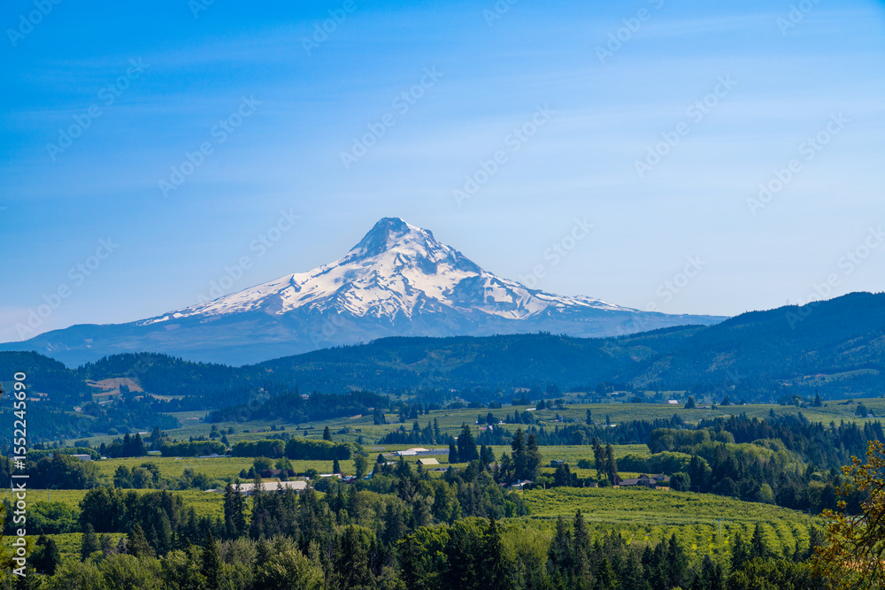 Naklejka premium Mount Hood, Oregon, viewed from Hood river valley, famous for its orchards, vineyards and scenic views