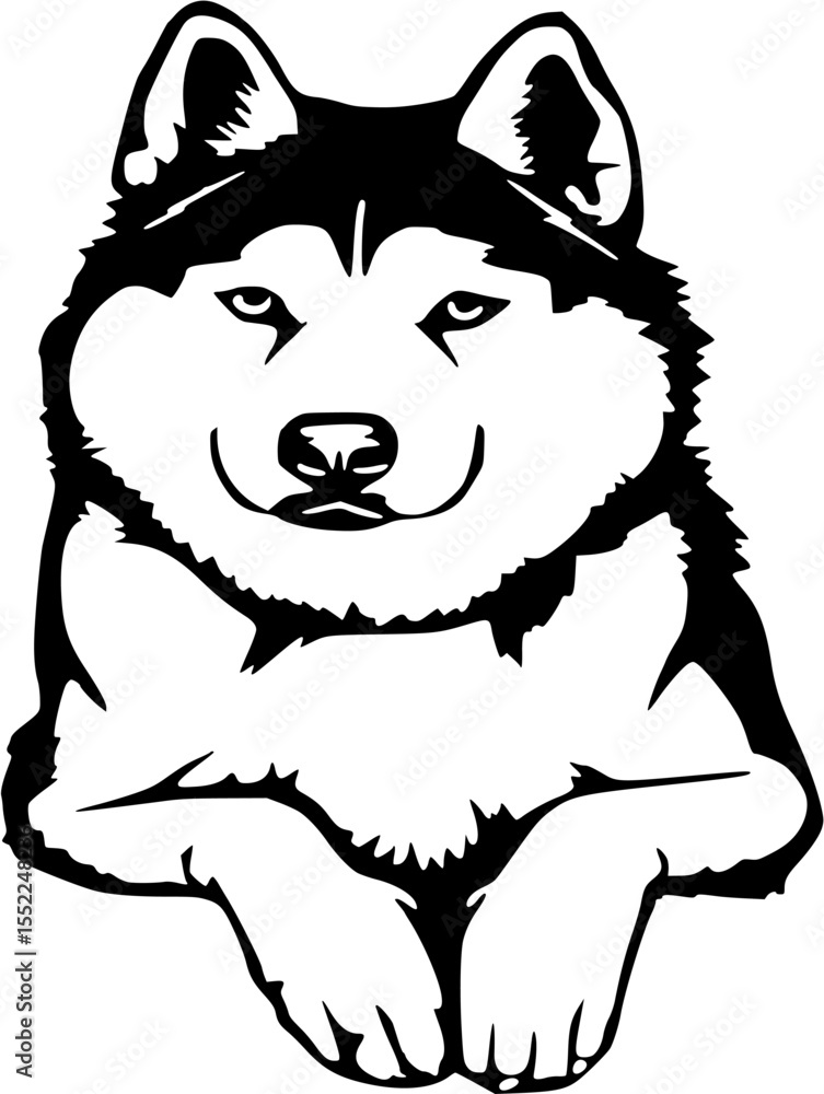 Fototapeta premium Cute Husky Puppy Sitting Vector Illustration in Black and White