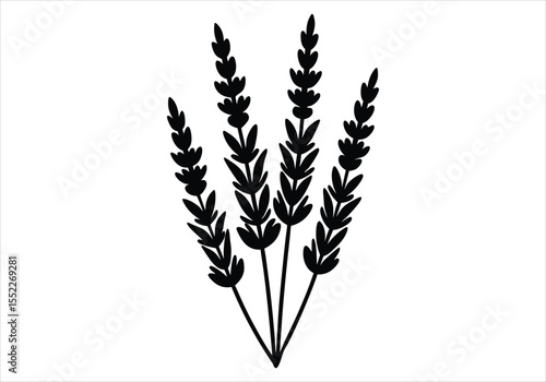 Lavender Sprigs silhouette on white background