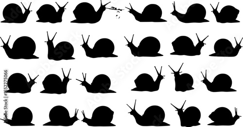 set of snail vector illustration flat style black silhouette
