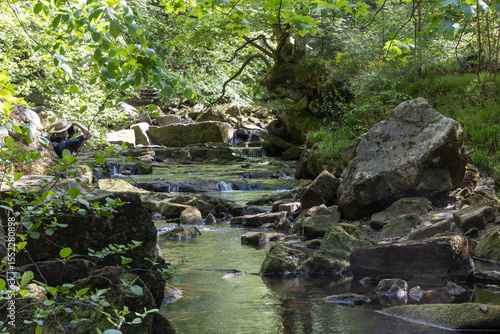 small waterfall in the forest