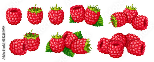 Set of delicious raspberries in cartoon style. Vector illustration of juicy and sweet, whole raspberries with stems, green leaves isolated on white background. Summer season. Healthy berries.