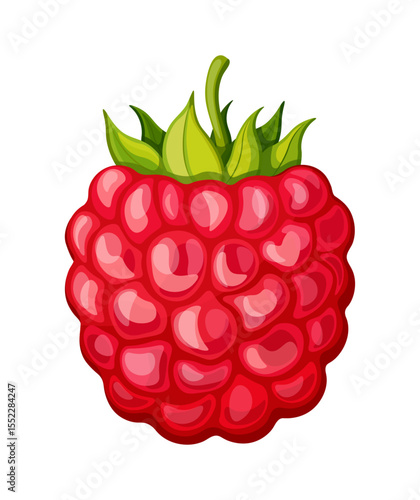 Fresh raspberries in cartoon style. Vector illustration of sweet, tasty raspberries with green stems isolated on white background. Healthy, vitamin berries. Summer snacks.
