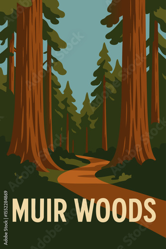 Scenic Views of Muir Woods Redwood Forest