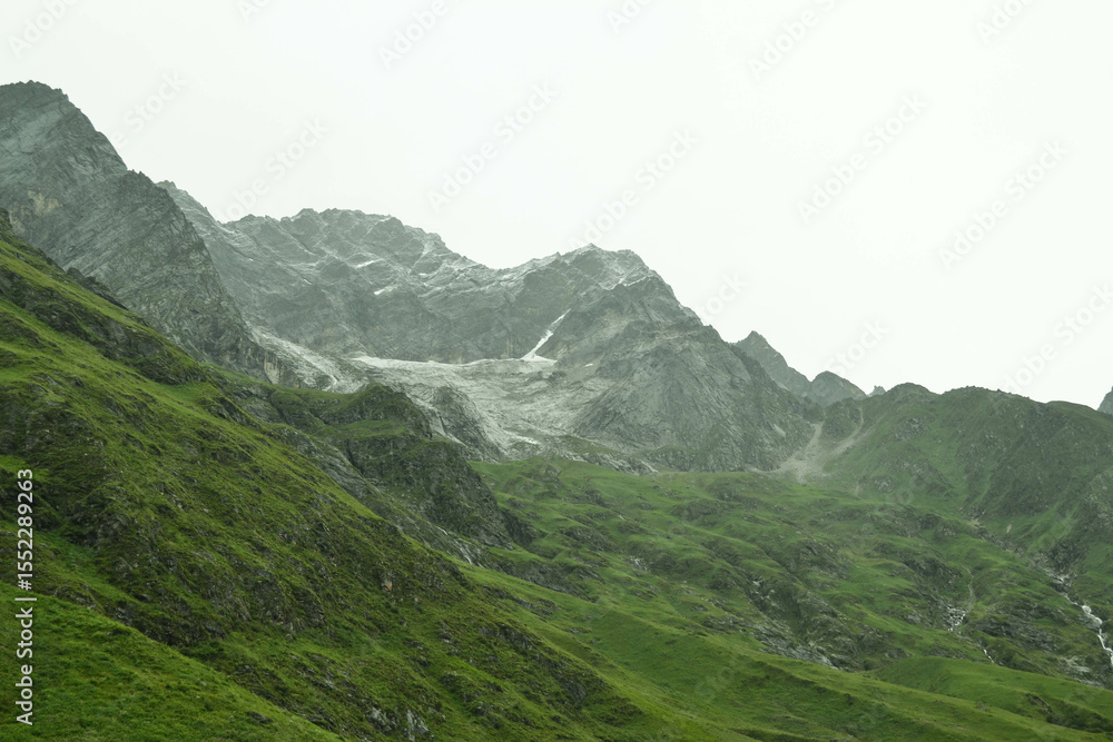 Fototapeta premium Valley of Flowers – A Blooming Paradise in the Heart of the Himalayas 