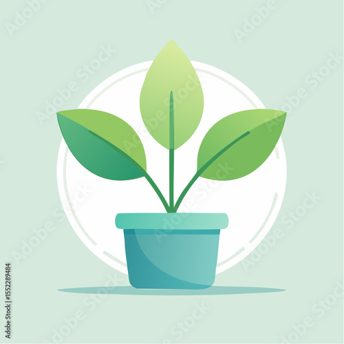 Petit végétal vert en pot pour design intérieur épuré