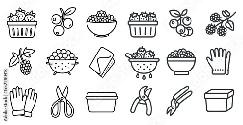 Collection of fruit and gardening tools. The fruits include strawberries, blueberries, and grapes. The tools include scissors, a bucket, and a pair of gloves. Concept of freshness and productivity