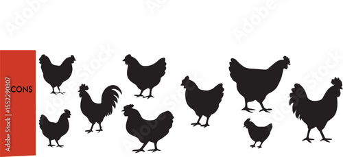 Chicken Silhouette Collection - Farm Animal Vector Set (Rooster, Hen, Chick Outline Illustrations) - Poultry, Agriculture & Countryside Clipart