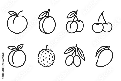 Line Style Stone Fruits. Line style icons of stone fruits: peach, plum, apricot, cherry. nectarine, lychee, olive, mango. No text,