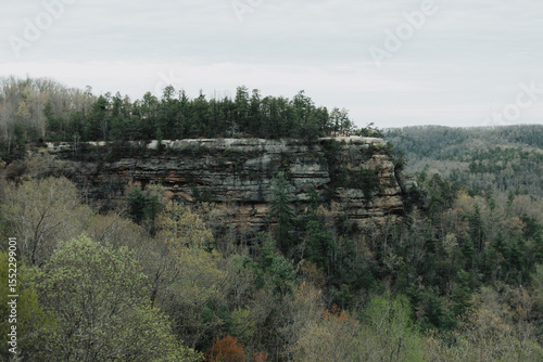 фотографія Spring canyon overlook with sandstone cliff edge, mixed evergreen and deciduous