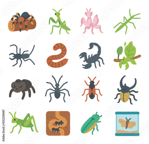 Exotic insect and arachnid pets icons in modern flat vector in minimalistic vibrant color design: tarantula on log, praying mantis pose, orchid mantis, stick insect crawling, vinegaroon walking