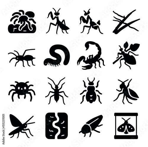 Exotic insect and arachnid pets icons in silhouette solid black-filled shapes with clean, simple : tarantula on log, praying mantis pose, orchid mantis, stick insect crawling, vinegaroon