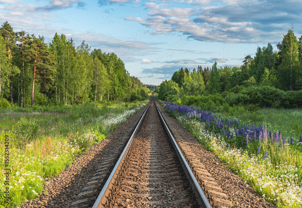 Obraz premium Railroad rails stretching into the distance, between trees, grasses and flowers.