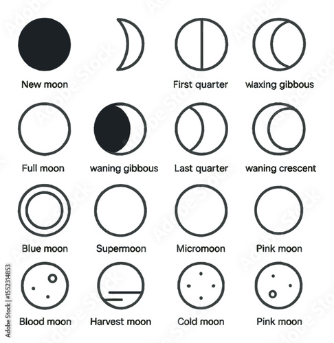 Lunar calendar phases icons in minimalistic line art : new moon, waxing crescent, first quarter, waxing gibbous, full moon, waning gibbous, last quarter, waning crescent, blue moon, black moon,