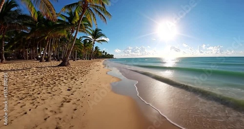 Video of sunny beach with turquoise water golden sand and lush green palm trees under bright sunlight