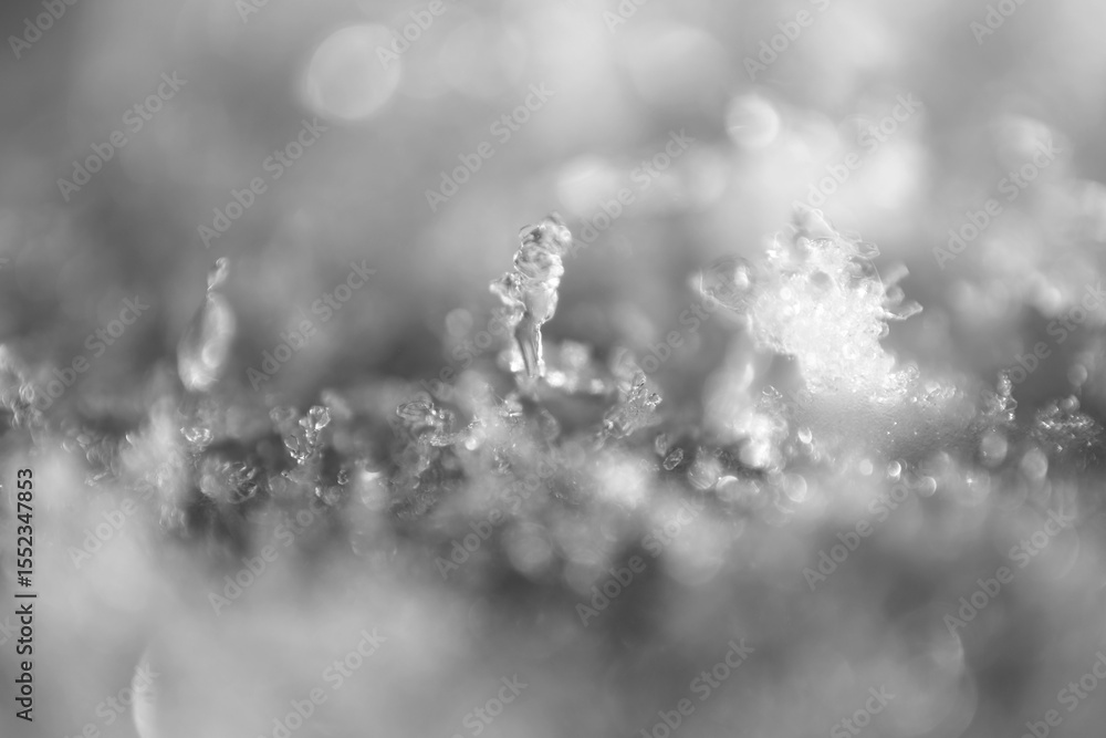 Fototapeta premium Macro shot of crystal ice form on top layer of surface