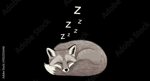 Sleeping fox illustration curled up with zzz symbols on a black background digital art for relaxation aid vector