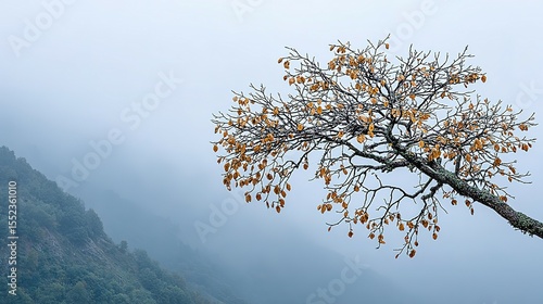 Wallpaper Mural Autumnal tree branch against a misty mountain backdrop. Torontodigital.ca