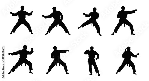 Silhouetted martial artists demonstrate self defense and fighting poses, showcasing black belts in a series of dynamic forms.