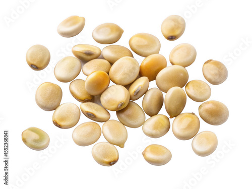 Lupine seeds png lupin flower seeds png lupine seed closeup png agricultural seed png flowering plant seeds png transparent background image