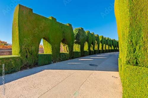 Sculpted trees and bushes along the Calle Real de la Alhambra, or Royal Street, in the extensive gardens of the historic Alhambra Palace Fortress in Granada, Spain.