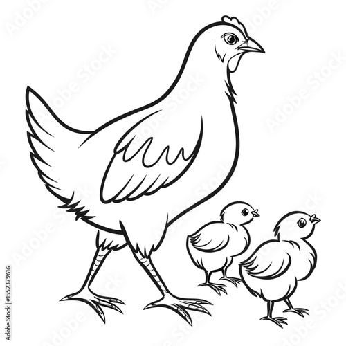 Black and white illustration of a hen leading her adorable baby chicks on white background
