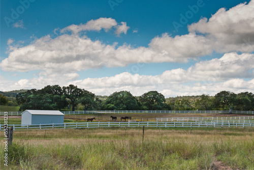 Texas horse ranch with blue skies