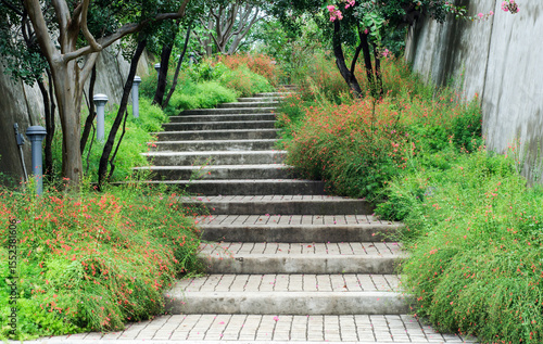 wide stair in garden with foilage