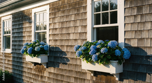 Hamptons beachhouse exterior with cedar shingle siding and blue hydrangea window boxes, classic coastal architecture for luxury vacation rental website banners and headers