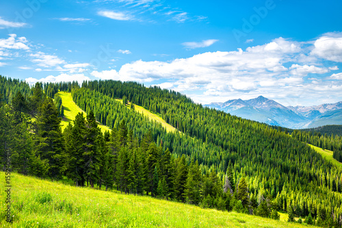 Dramatic lush green summer landscape at Vail, Colorado Grand Escape hiking trail with pine forest woods at ski slopes in Gore range