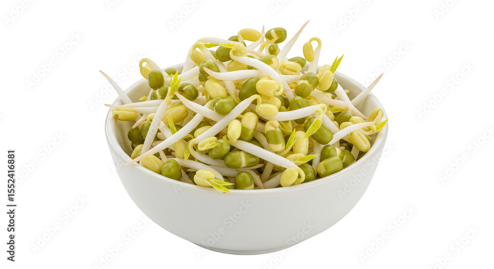 Fresh Mung Bean Sprouts in Bowl Isolated Transparent Background Fresh Mung Bean Sprouts in Bowl Isolated Transparent Background