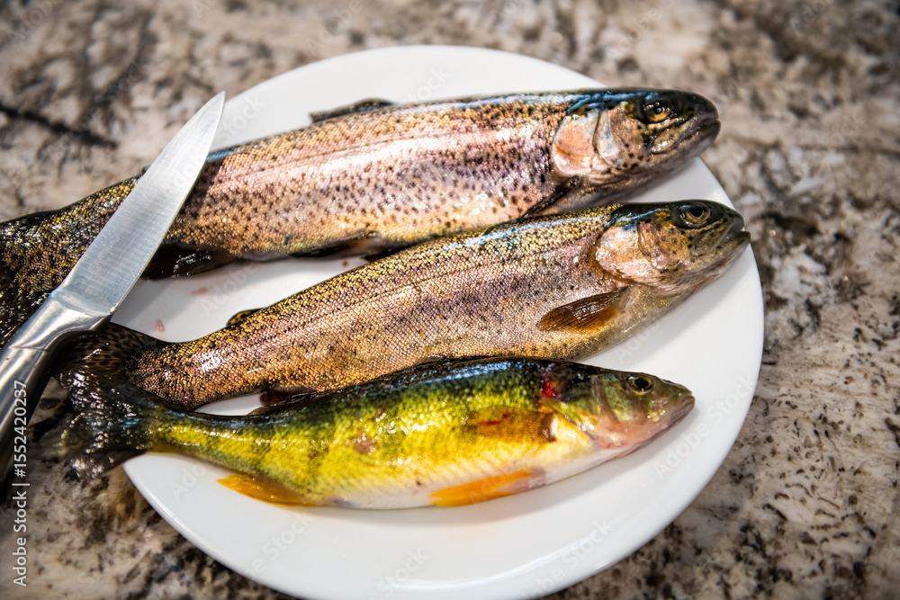 Cleaning knife and three fish rainbow trouts and smallmouth bass wild raw uncooked whole wildcaught food from Colorado freshwater lake Cleaning knife and three fish rainbow trouts and smallmouth bass wild raw uncooked whole wildcaught food from Colorado freshwater lake
