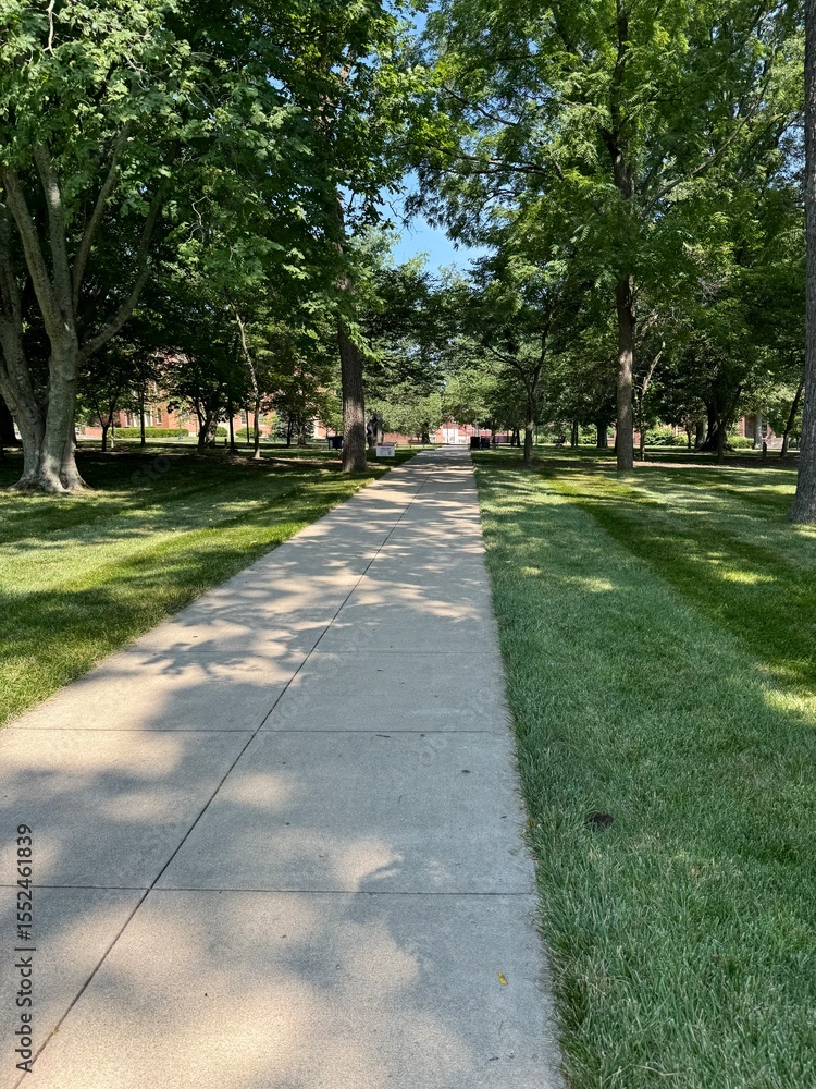 Obraz premium Path in the park