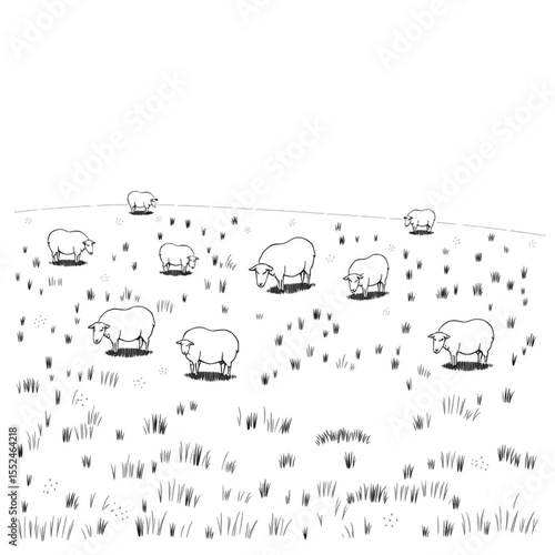 A meadow dotted with grazing sheep