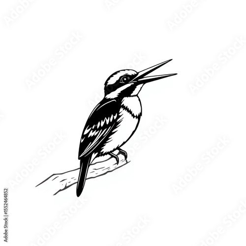 A kingfisher rattling its call from a riverside pe...