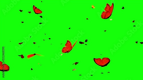 Group Of Orange Butterflies flying green screen effect background