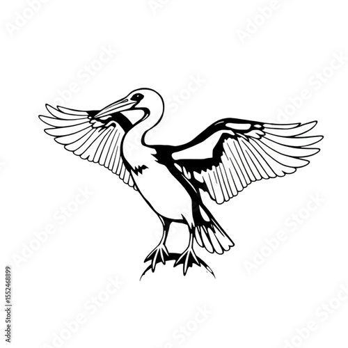 A cormorant spreading its wings to dry