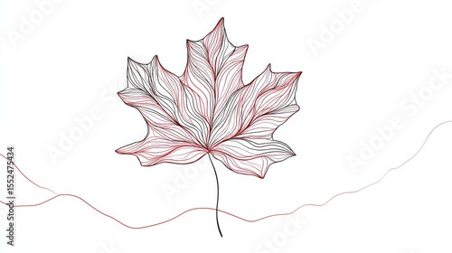 Maple Leaf, Canada Day Continuous Line Drawing with Editable Stroke and Color Elements 