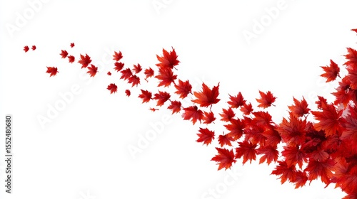 Abstract Canadian red maple leaves flowing diagonally isolated on a transparent background. Place for text. Perfect for Canada Day, national celebrations, patriotic events and festive designs.