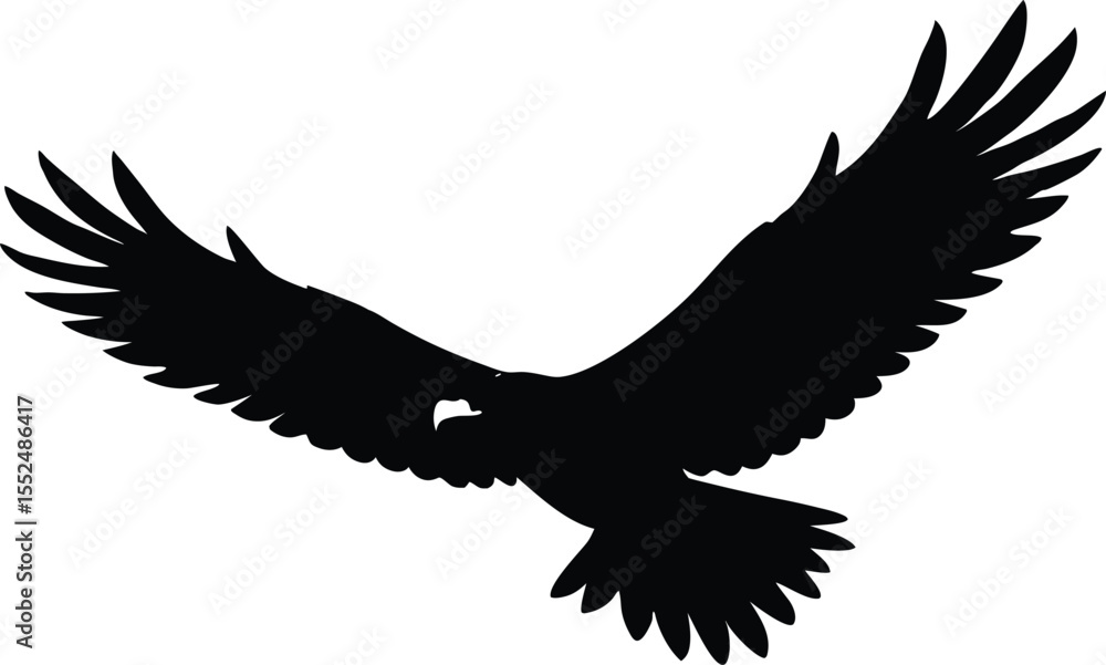Fototapeta premium Bald eagle soaring in black and white sketch, symbol of freedom, Flying Bald Eagle black and white Silhouette vector