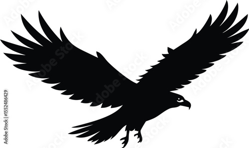 Bald eagle soaring in black and white sketch, symbol of freedom, Flying Bald Eagle black and white Silhouette vector