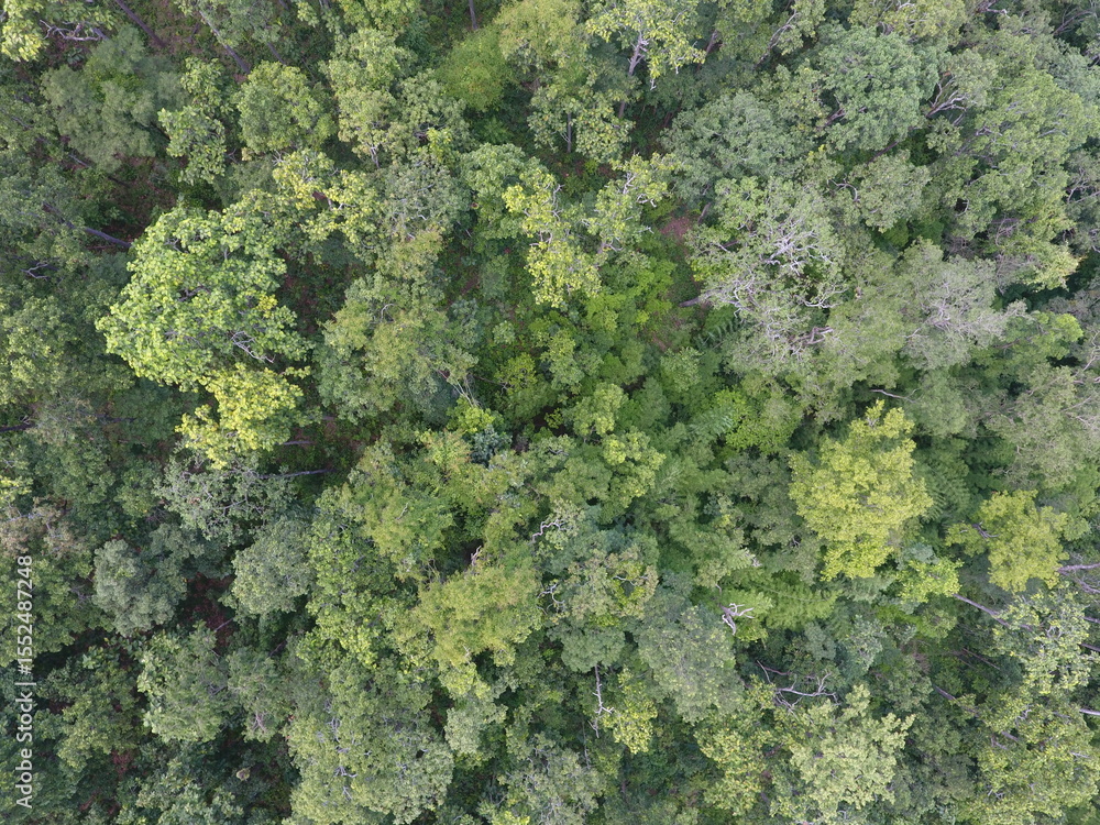 Naklejka premium Top View Aerial Photograph