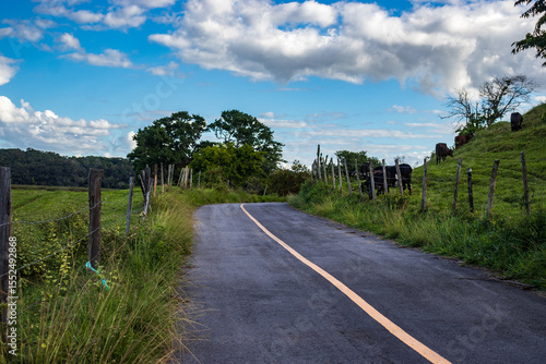 Landscape, Imbé, Campos dos Goytacazes, RJ, Brazil