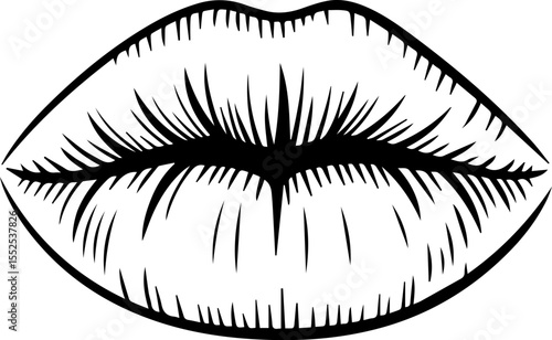 detailed lips line drawing vector illustration
