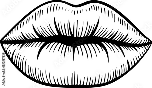 detailed lips line drawing vector illustration